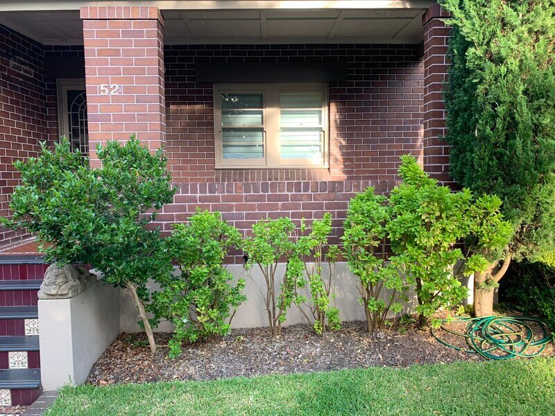 Ryde Tuckpointing Project